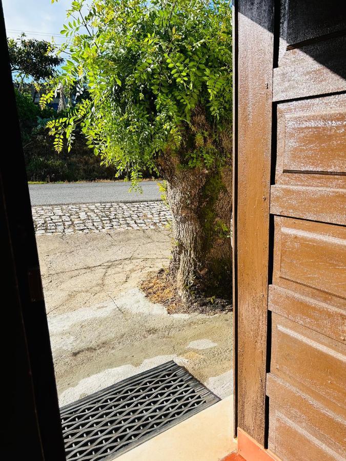 Mae Home Carril Caldas Da Rainha Buitenkant foto